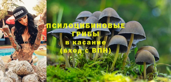 синтетический гашиш Абдулино