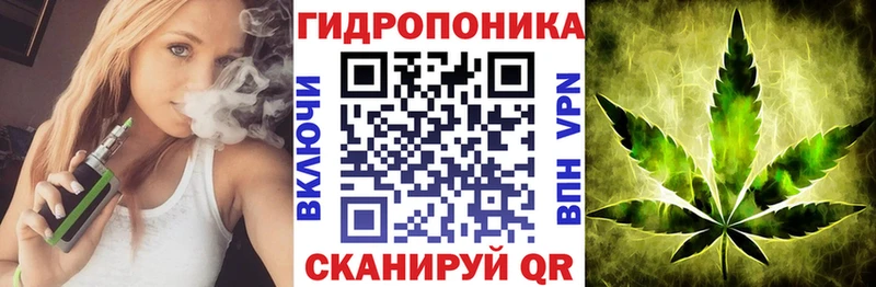 Каннабис ГИДРОПОН  наркошоп  Шатура 